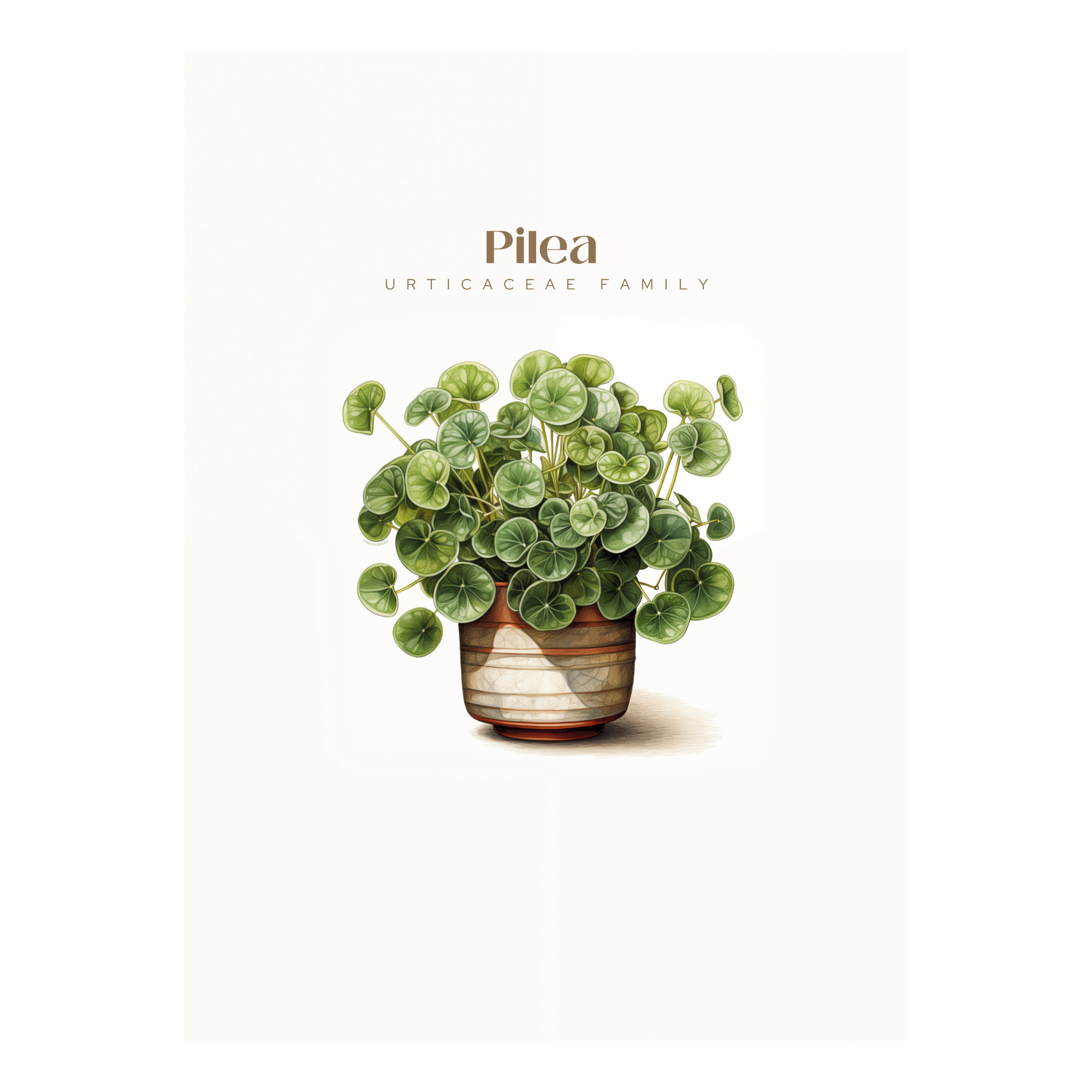 Pilea Art Print