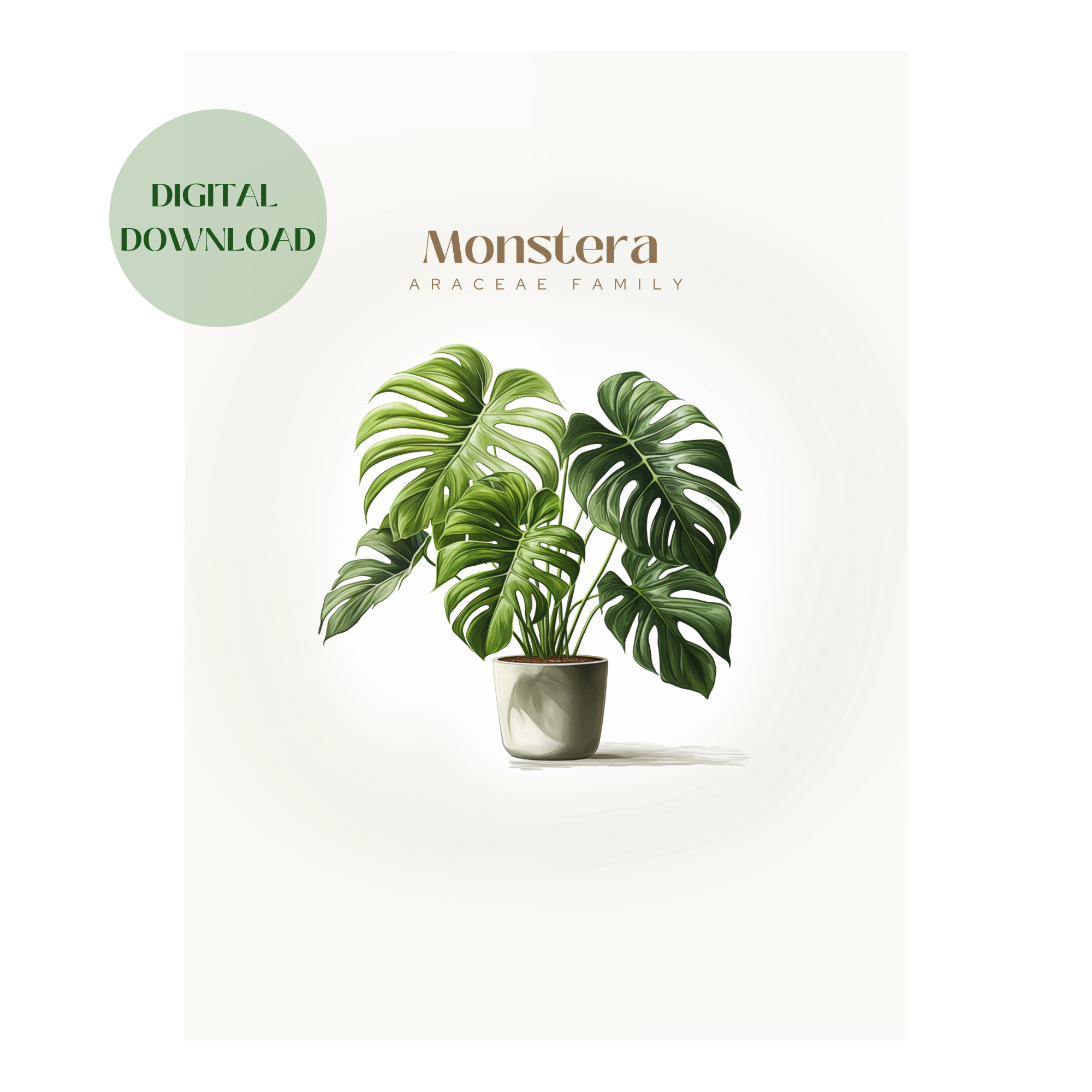 Monstera Plant Digital Art Download