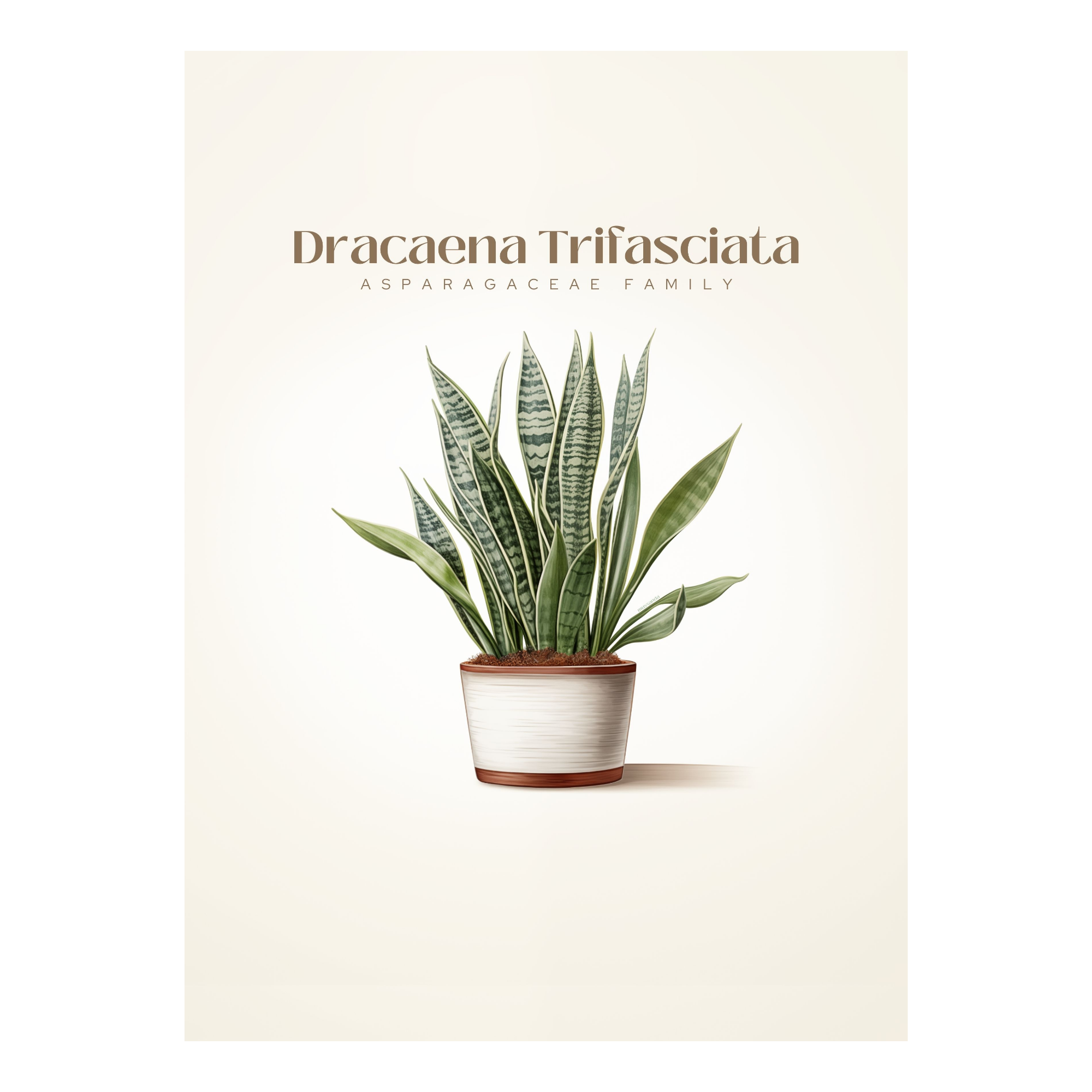 Dracaena Art Print