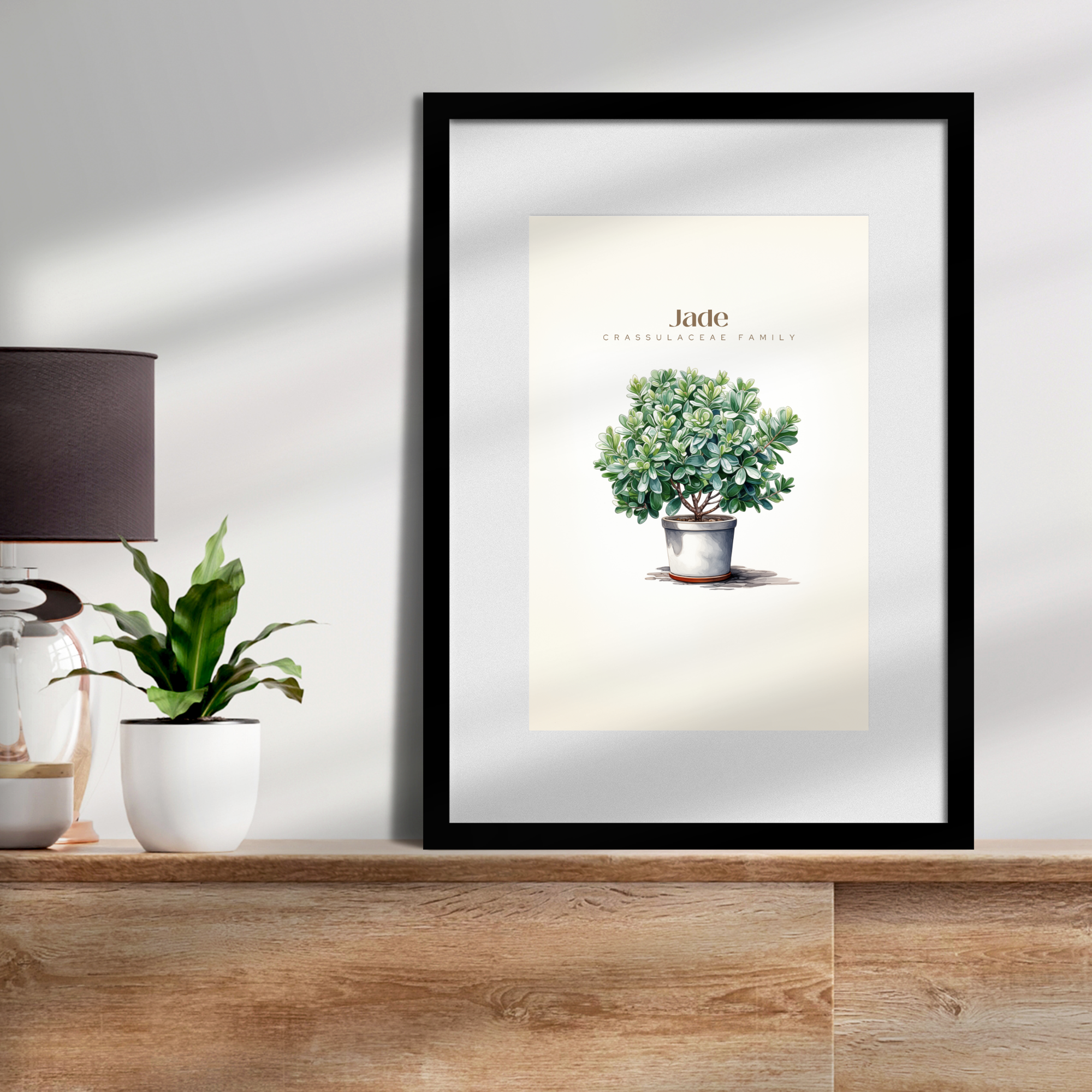 Jade Plant Digital Art Download