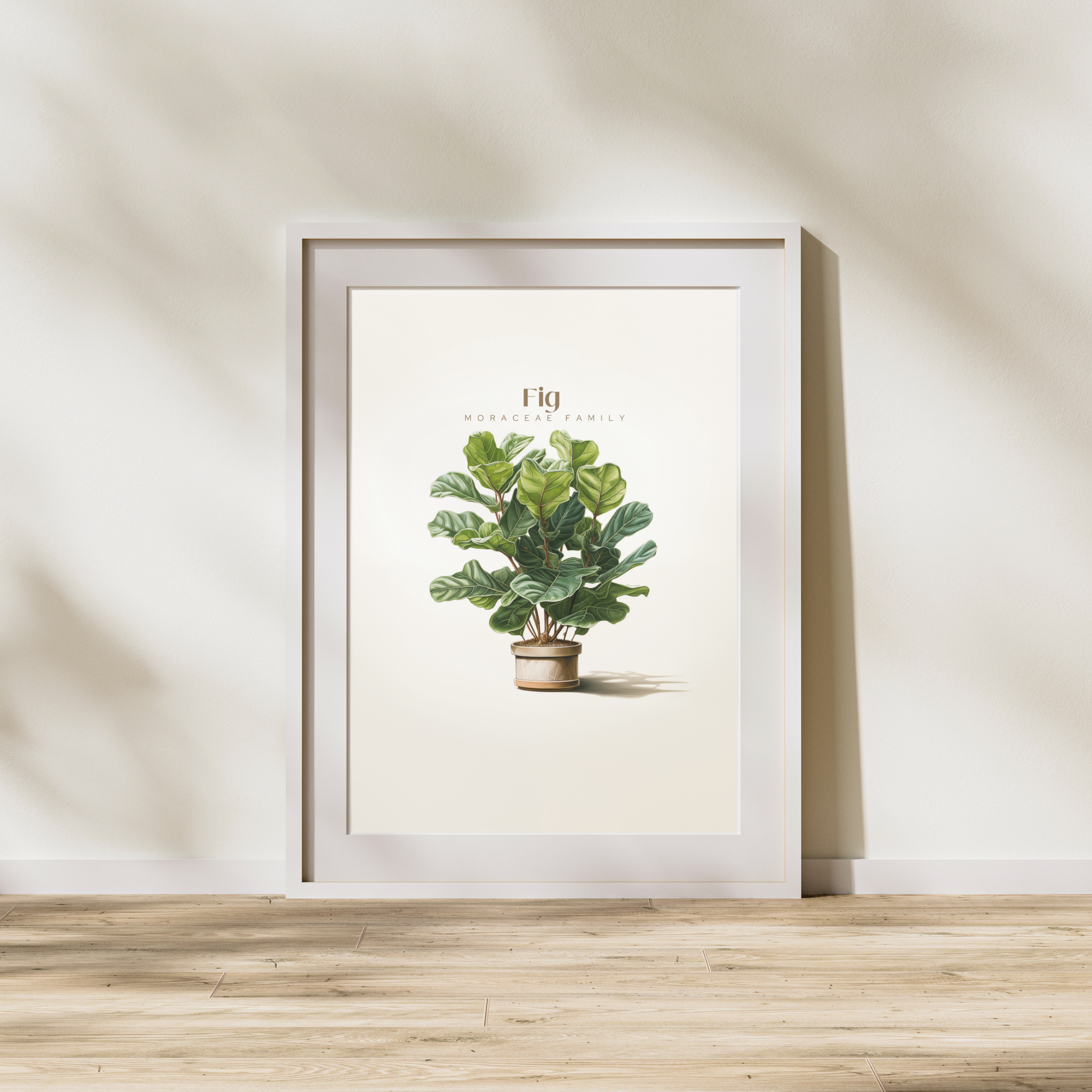 Fig Art Print