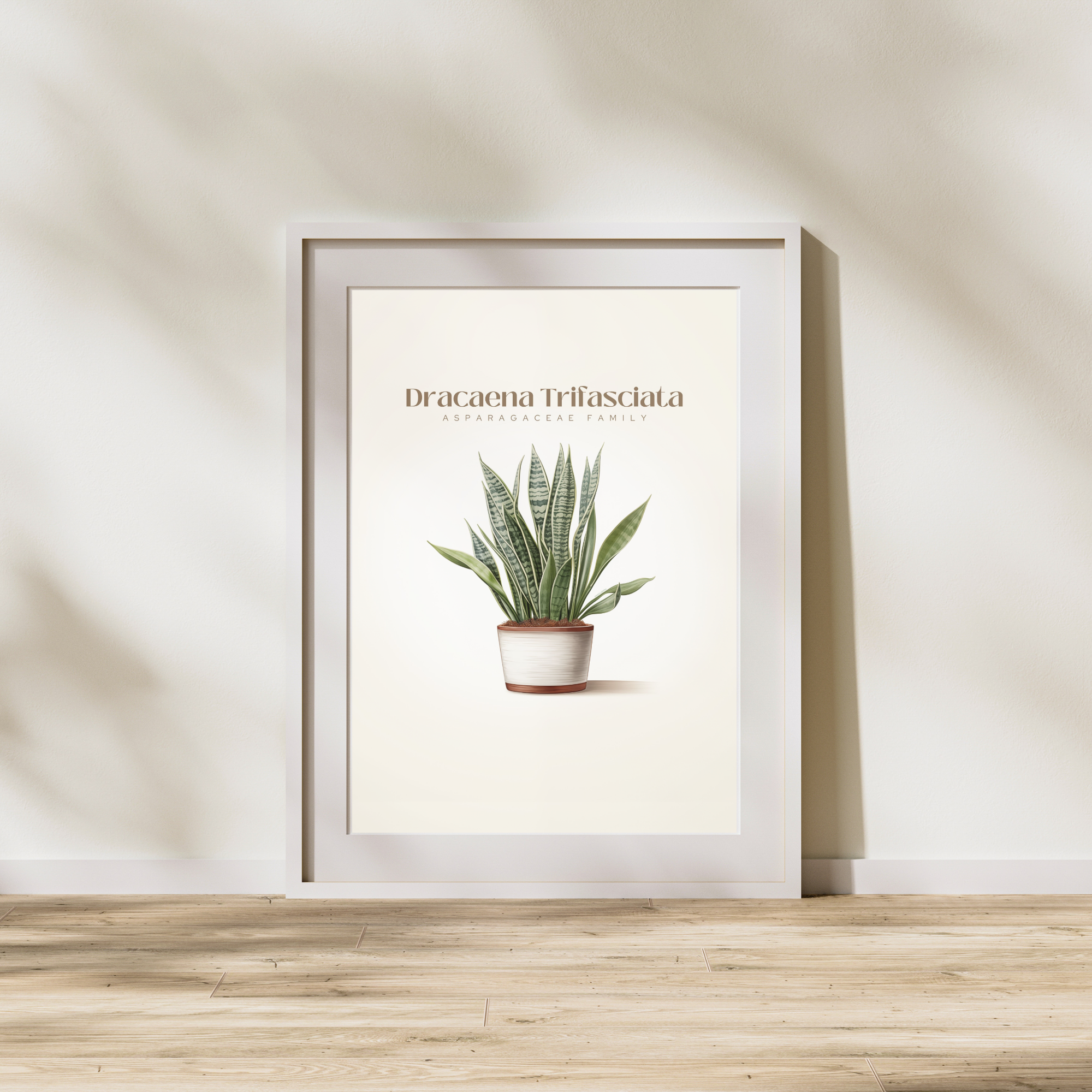 Dracaena Art Print