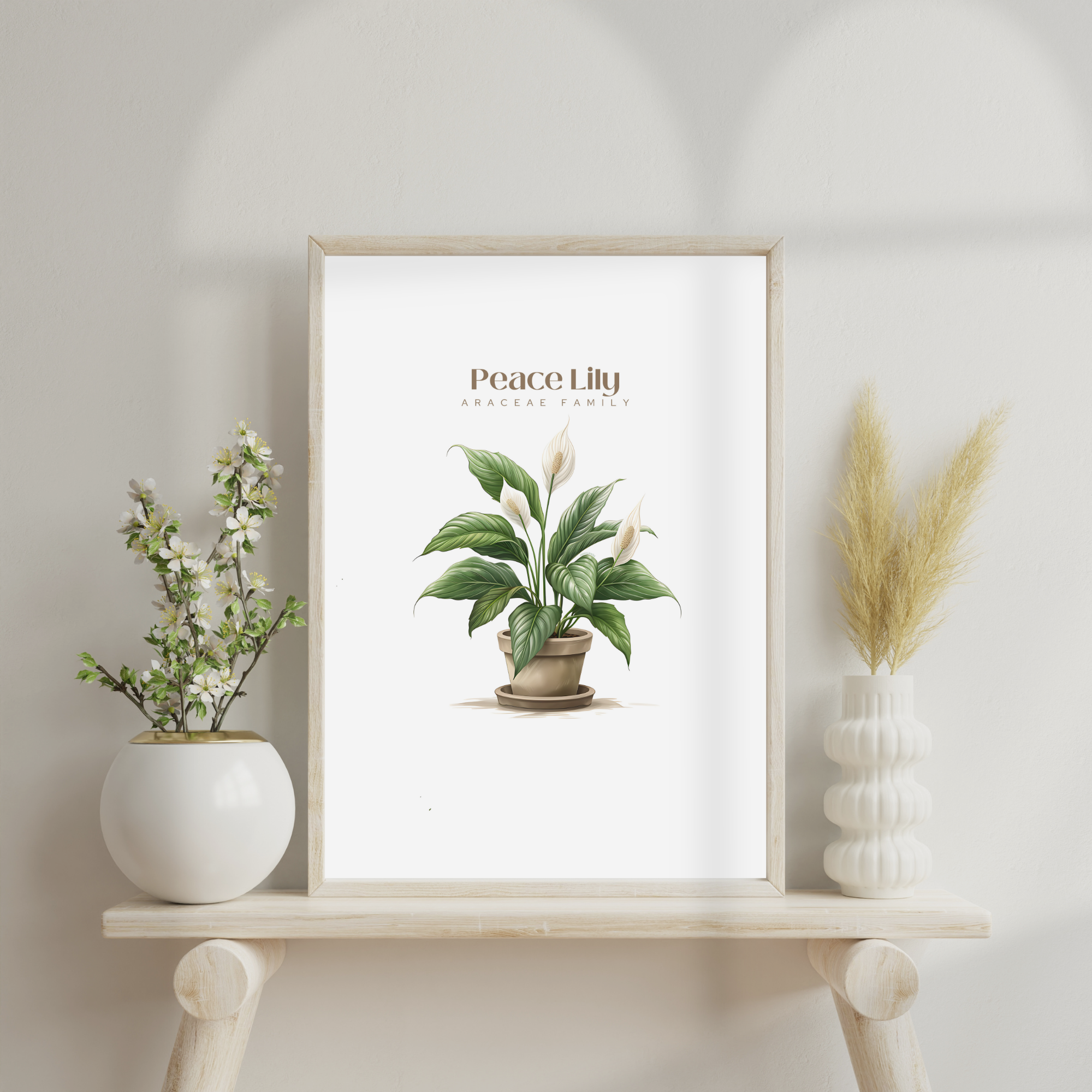 Peace Lily Digital Art Download 02