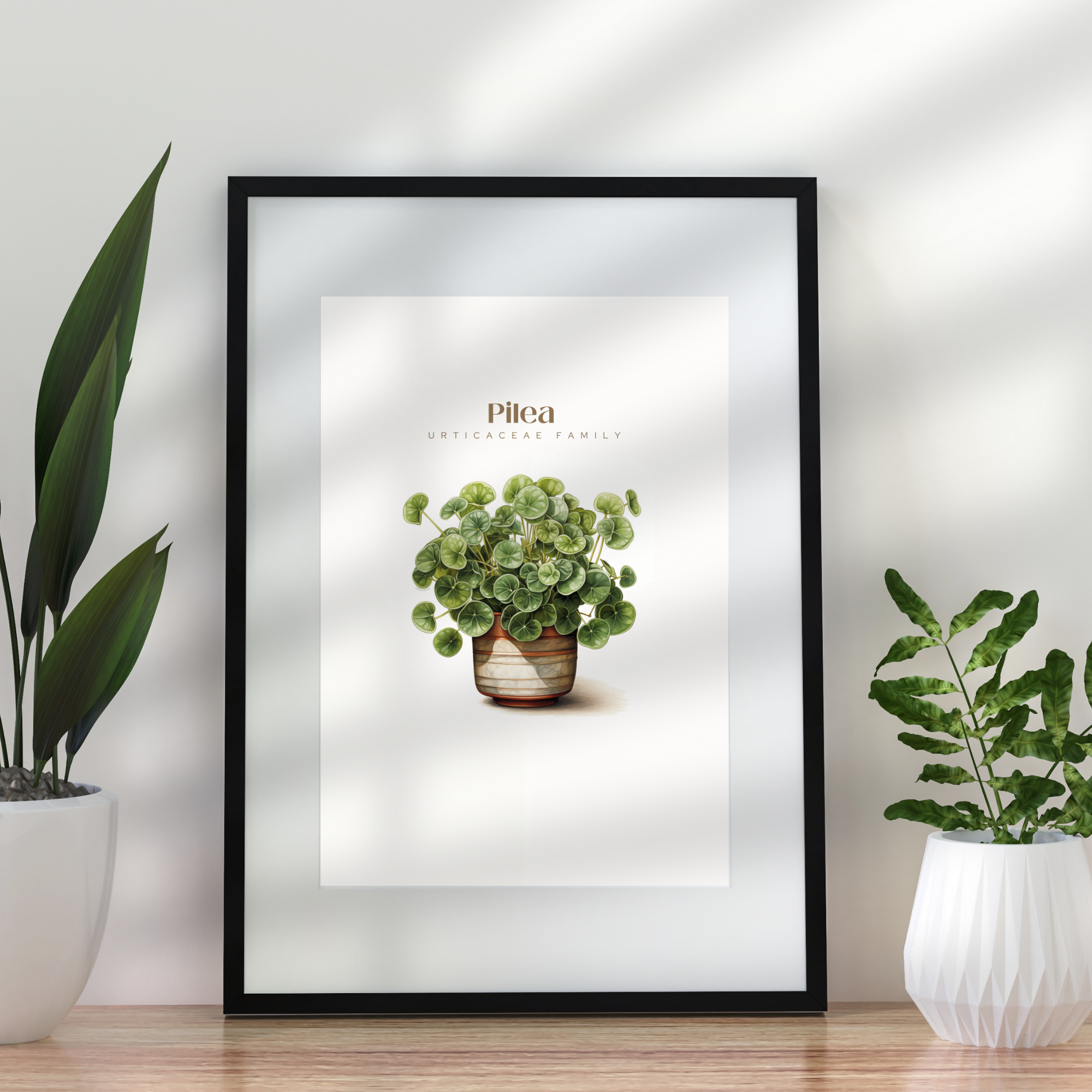 Pilea Plant Digital Art Download 01